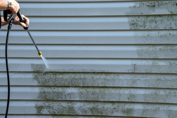Demolition Debris Removal in Wewahitchka, FL