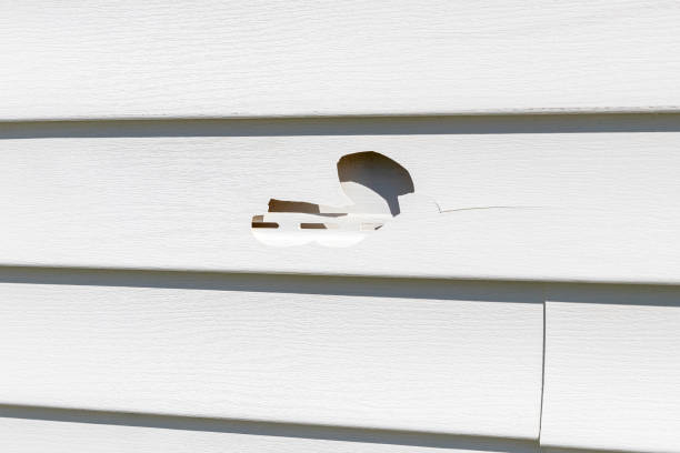 Best Garage Cleanout  in Wewahitchka, FL