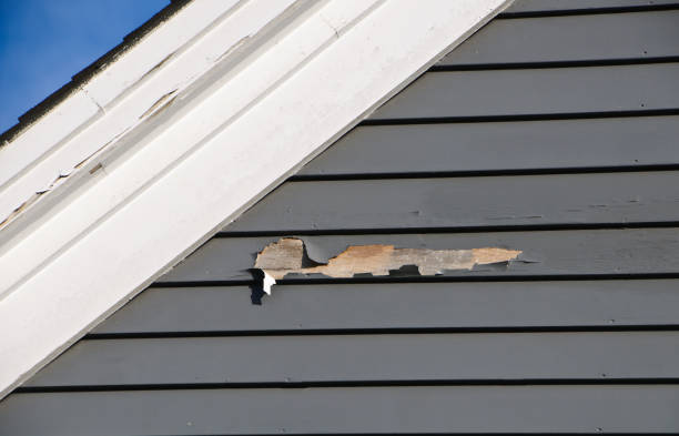 Best Attic Cleanout  in Wewahitchka, FL
